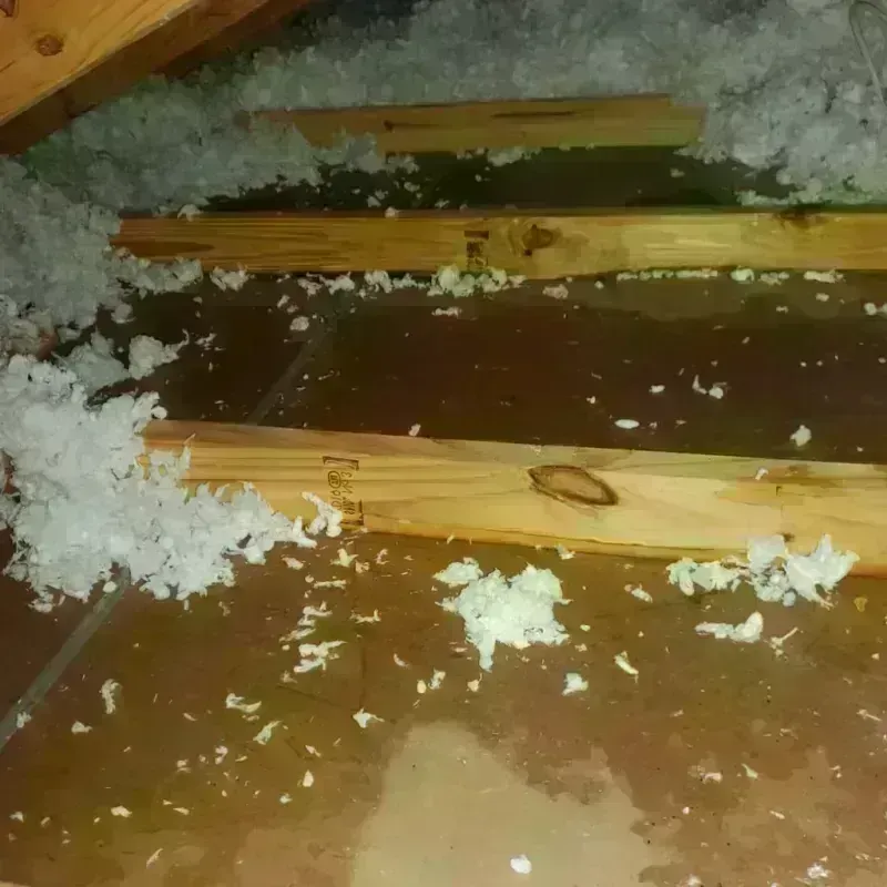 Attic Water Damage in Derma, MS